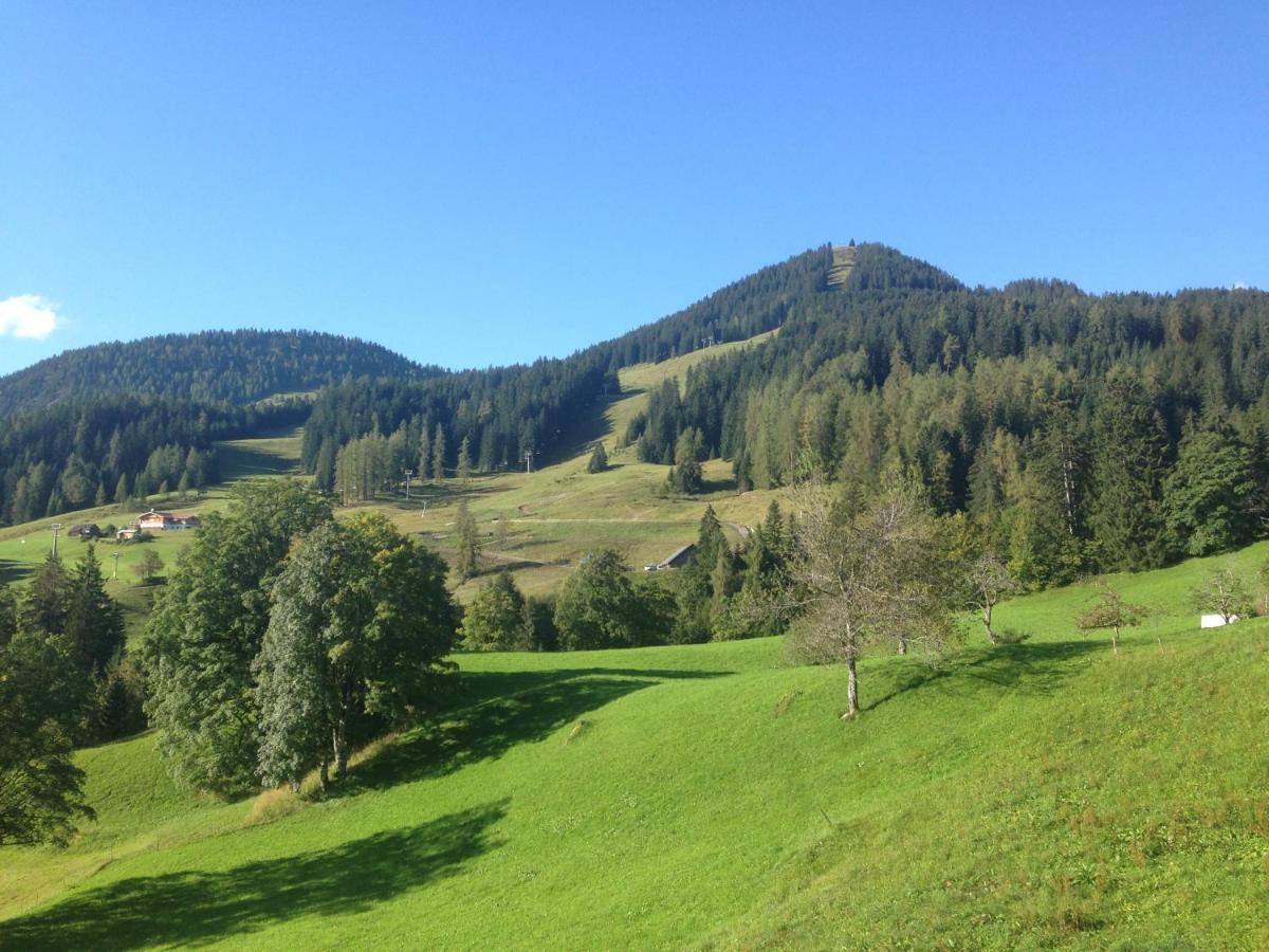Bürserberg Haus Mondspitzeヴィラ エクステリア 写真