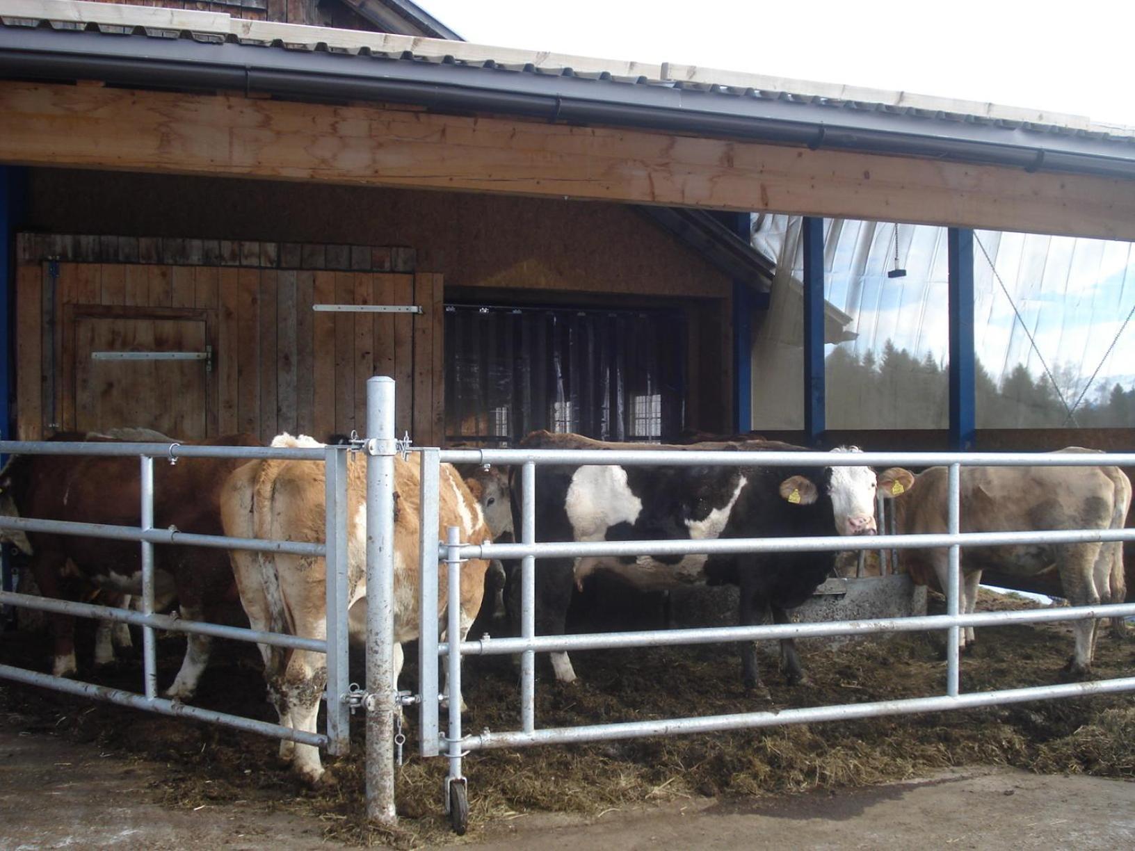 Bürserberg Haus Mondspitzeヴィラ エクステリア 写真